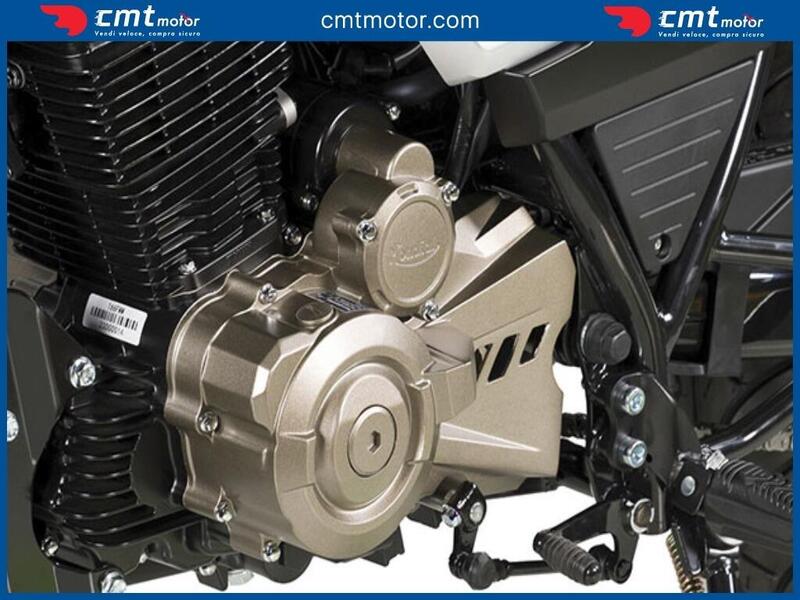 FB Mondial Spartan 250 (2024) (3)