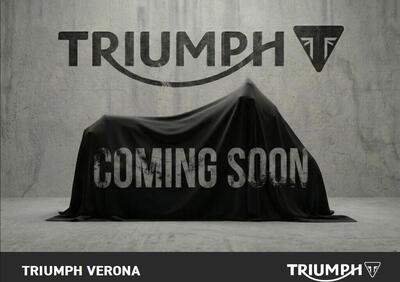 Triumph TF 450-RC Edition (2025 - 26) - Annuncio 9942427