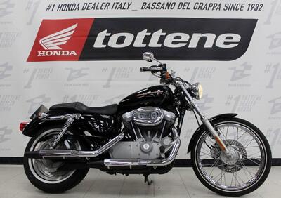 Harley-Davidson 883 Custom (2006 - 07) - XL 883C - Annuncio 9943306