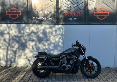 Harley-Davidson Nightster (2023 - 26) - Annuncio 9943504