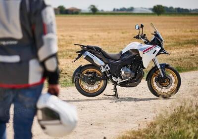 Cyclone RX600 (2025 - 26) - Annuncio 9944192