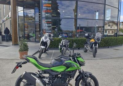 Kawasaki Z 500 (2024 - 26) - Annuncio 9935916