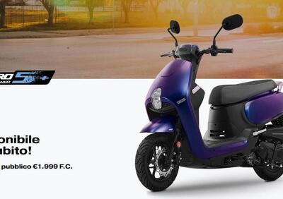 Sym CLBCU 50 (2025 - 26) - Annuncio 9948121