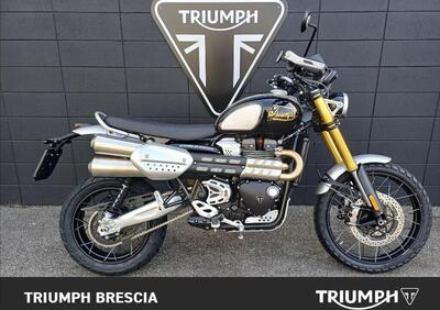 Triumph Scrambler 1200 XE Icon Edition (2025 - 26) - Annuncio 9948323