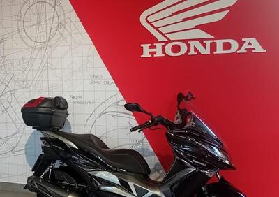 Kawasaki J 300 ABS (2014 - 16) - Annuncio 9949719