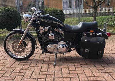 Harley-Davidson 1200 Custom (2001 - 03) - XL 1200C - Annuncio 9950513