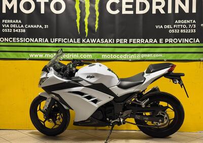 Kawasaki Ninja 300 ABS (2012 - 16) - Annuncio 9951204