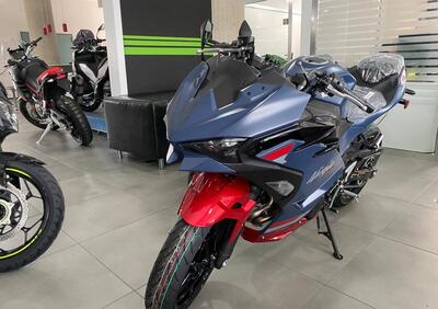 Kawasaki Ninja 500 SE (2024 - 26) - Annuncio 9951751