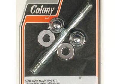 Kit vite serbatoio benzina cromata per Softail dal  - Annuncio 9953378