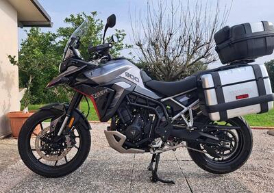 Triumph Tiger 900 GT Pro (2024 - 26) - Annuncio 9953500