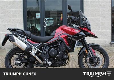 Triumph Tiger 900 GT Pro (2024 - 26) - Annuncio 9950733