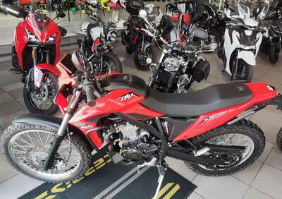 Betamotor Alp 4.0 (2024 - 26) - Annuncio 9955813