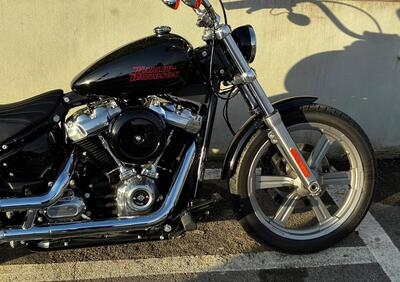 Harley-Davidson Softail Standard (2021 - 25) - Annuncio 9956865