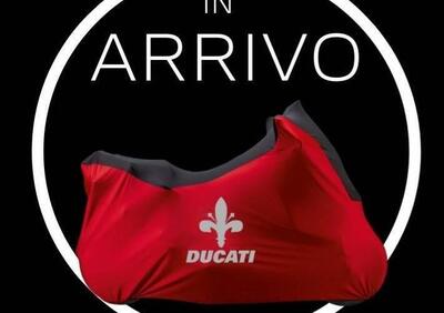 Ducati Scrambler 800 Icon (2017 - 20) - Annuncio 9957250