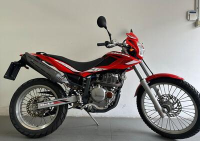 Betamotor Alp 4.0 (2008 - 17) - Annuncio 9957470