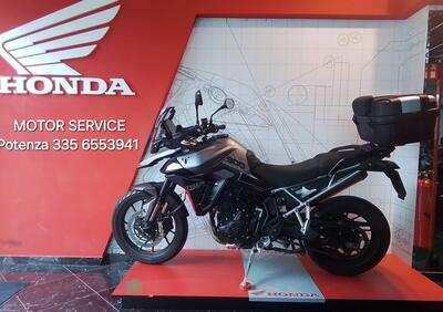 Triumph Tiger 900 GT (2024 - 26) - Annuncio 9957658