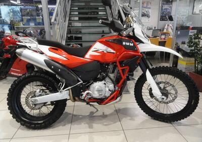 Swm Superdual 600 X (2018 - 20) - Annuncio 9958600