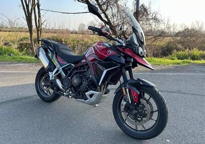 Triumph Tiger 900 GT Pro (2024 - 26) - Annuncio 9961616