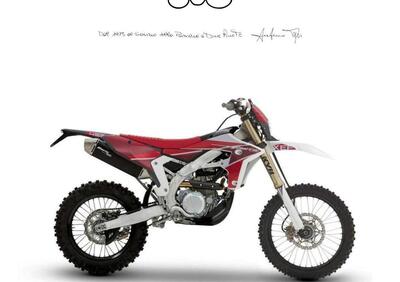 Fantic Motor XEF 450 (2025) - Annuncio 9585060