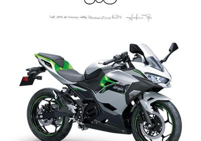 Kawasaki Ninja e-1 (2024 - 25) - Annuncio 9556762