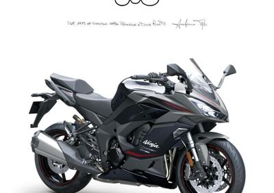 Kawasaki Ninja 1100 SX SE (2025 - 26) - Annuncio 9604088