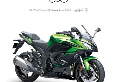 Kawasaki Ninja 1100 SX SE (2025 - 26) - Annuncio 9604089
