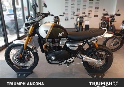 Triumph Scrambler 1200 XE (2024 - 25) - Annuncio 9943313