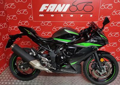 Kawasaki Ninja 125 (2021 - 24) - Annuncio 9964189