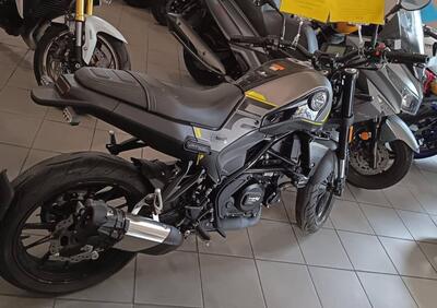 Benelli Leoncino 250 (2021 - 25) - Annuncio 9965121
