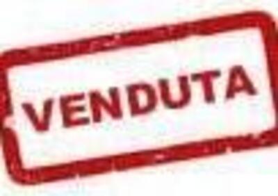 Triumph Trident 660 (2021 - 24) - Annuncio 9848074