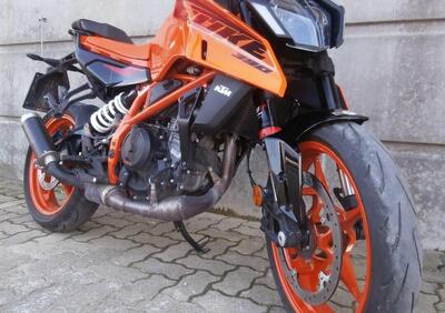 KTM 390 Duke (2024 - 25) - Annuncio 9966865