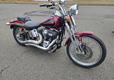 Harley-Davidson 1450 Springer (2001 - 03) - FXSTS - Annuncio 9968491