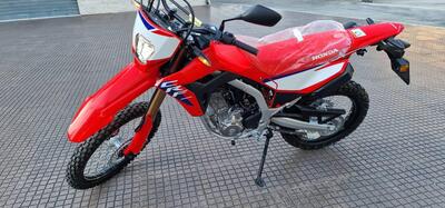 Honda CRF 300L (2025 - 26) nuova