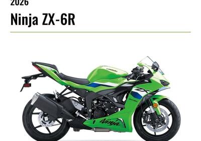 Kawasaki Ninja 636 ZX-6R (2024 - 26) - Annuncio 9969960