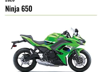Kawasaki Z 650 (2025 - 26) - Annuncio 9969961