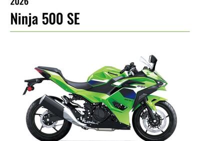 Kawasaki Z 500 SE (2024 - 26) - Annuncio 9969962