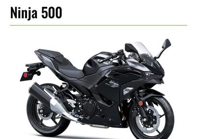 Kawasaki Z 500 (2024 - 26) - Annuncio 9969964