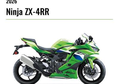 Kawasaki Ninja ZX-4RR (2024 - 26) - Annuncio 9969965