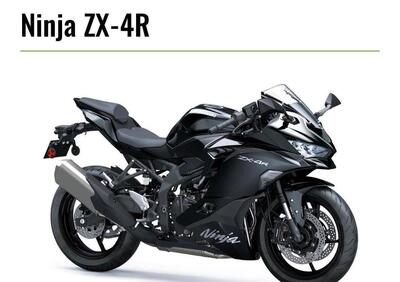 Kawasaki Ninja ZX-4R (2024 - 26) - Annuncio 9969966