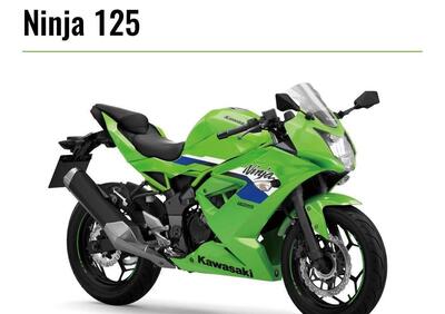 Kawasaki Ninja 125 (2025 - 26) - Annuncio 9969968