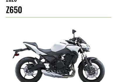 Kawasaki Z 650 (2025 - 26) - Annuncio 9969972
