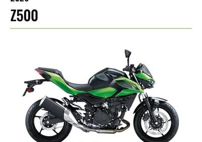 Kawasaki Z 500 (2024 - 26) - Annuncio 9969974
