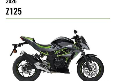 Kawasaki Z 125 (2025 - 26) - Annuncio 9969975