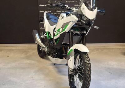Kawasaki KLE 500 SE (2026) - Annuncio 9902669
