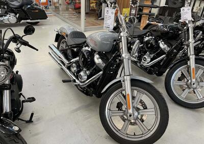 Harley-Davidson Softail Standard (2020) - FXST - Annuncio 9971449