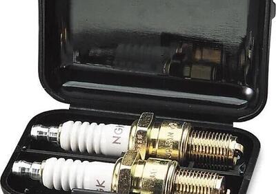 Custodia per can - Annuncio 9972506