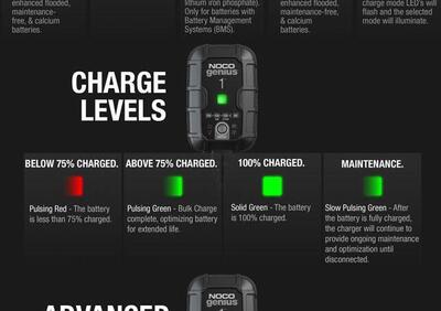 Caricabatteria E Mantenitore Noco Genius1 NOCO  - Annuncio 9588515