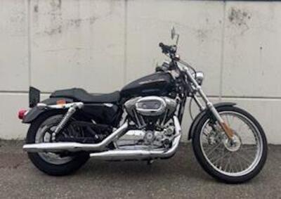 Harley-Davidson 1200 Custom (2004 - 06) - XL 1200C - Annuncio 9976707
