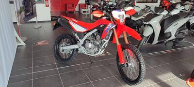 Honda CRF 300L (2025 - 26) nuova