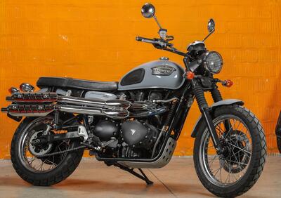 Triumph Scrambler (2006 - 17) - Annuncio 9978311